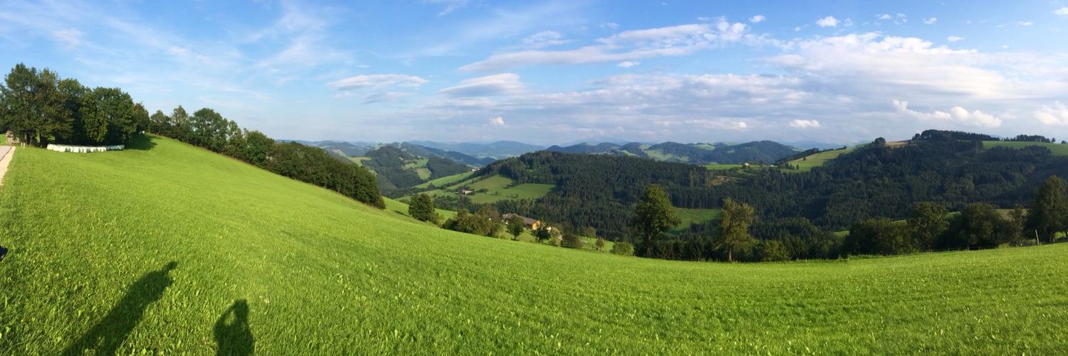 LeighButcher6's profile banner image