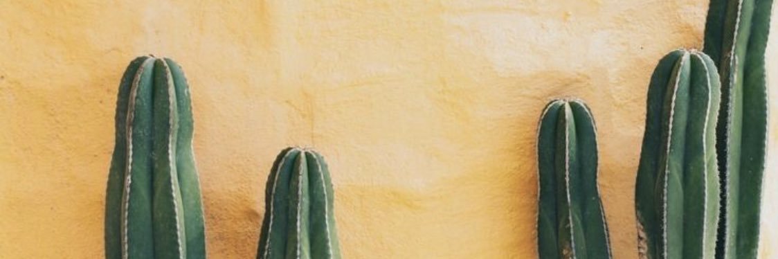 HJC_2's profile banner image