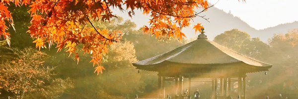 itarii51 Profile Banner