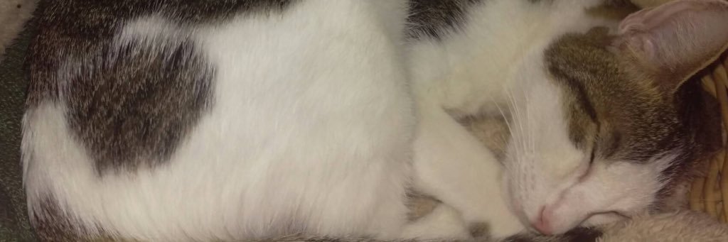 HSakima's profile banner image