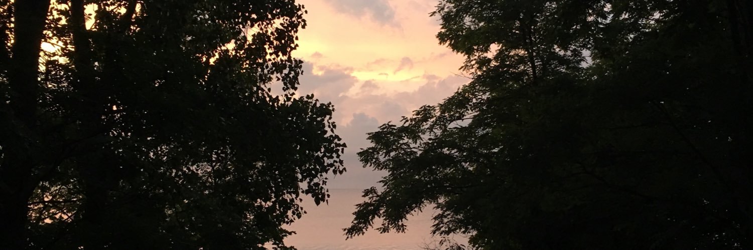 serenassmith's profile banner image