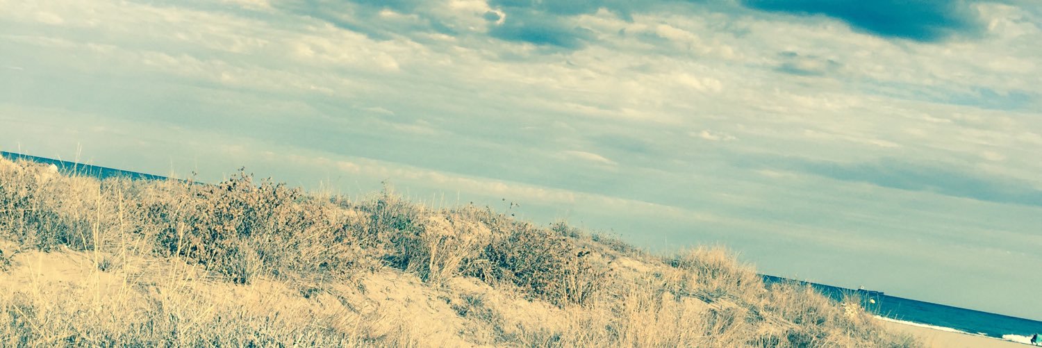 BeaOrtells's profile banner image