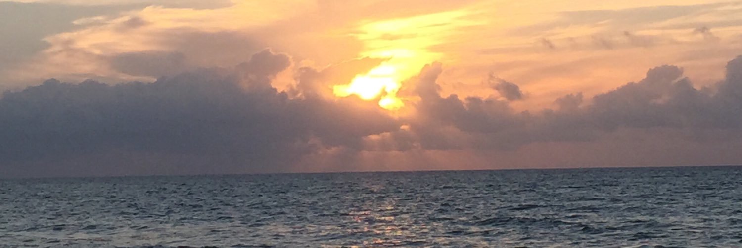 Robertlugo's profile banner image