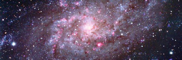 soloparatuitear Profile Banner