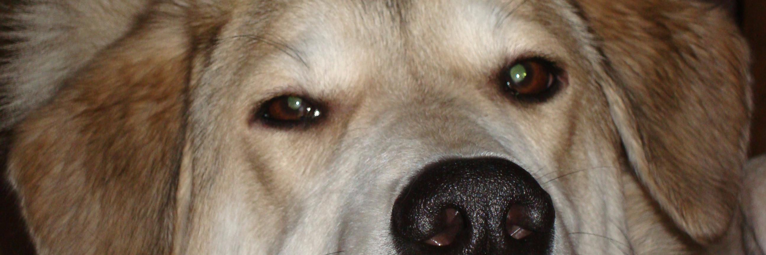 NaShGrod's profile banner image