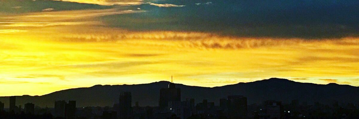 polloclavijo's profile banner image