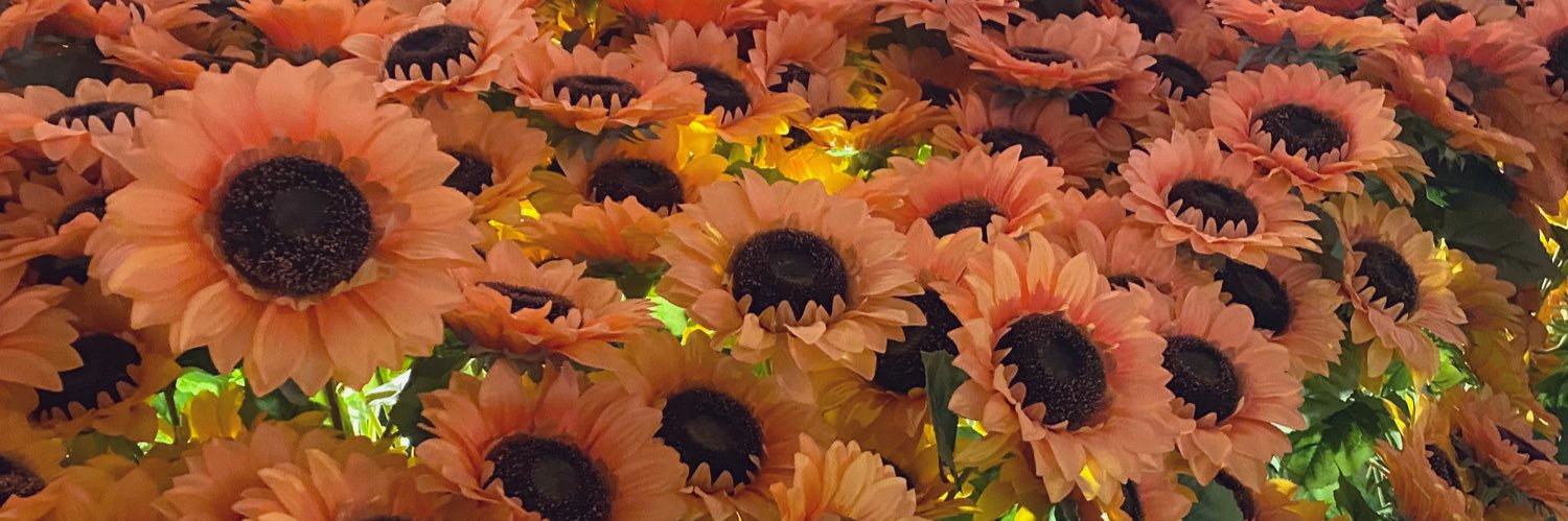 MeganHigginsX's profile banner image