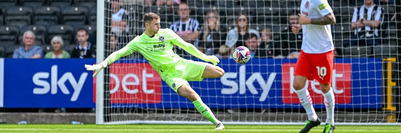 David Harrington banner