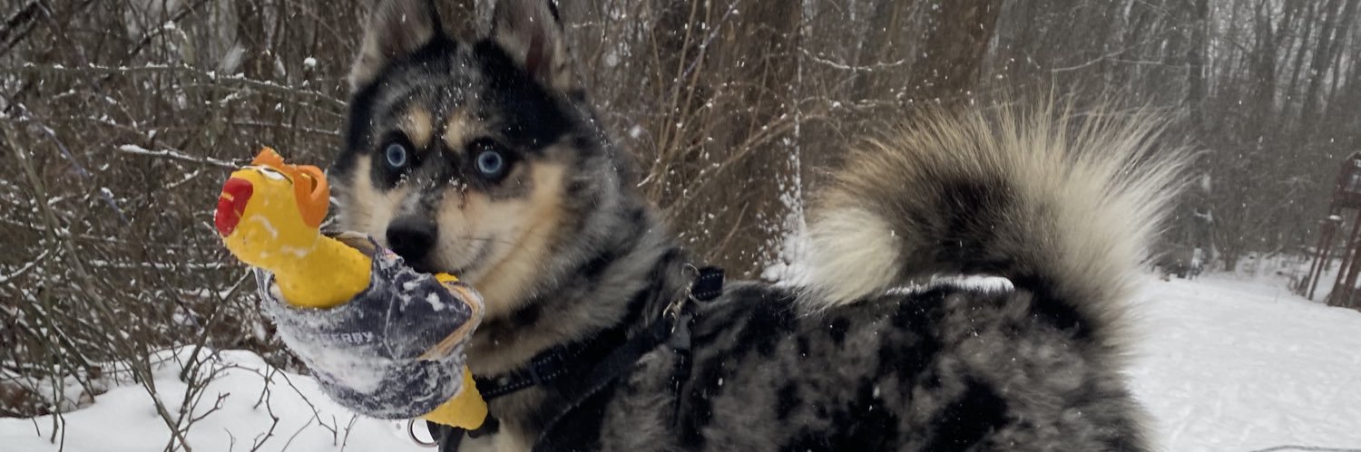 vvBeno's profile banner image