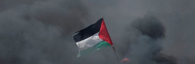 indomitablepali's profile banner image