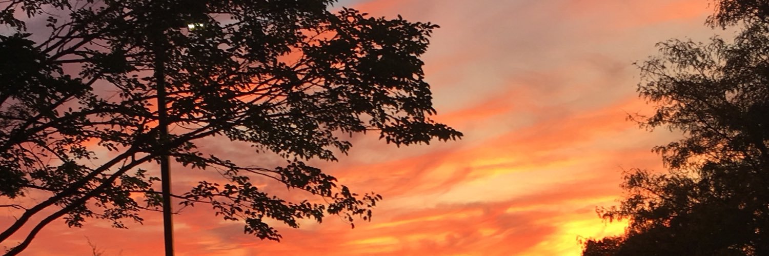 caidlyoung's profile banner image