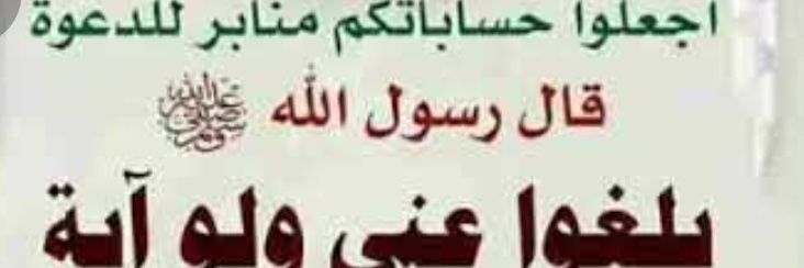 سعدى الشمري♥️ 🌿 banner