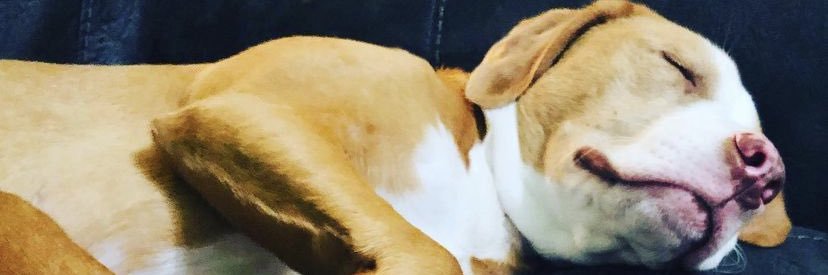 weatherlei's profile banner image