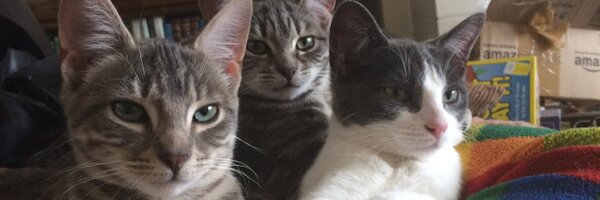 crazyhedgewitch Profile Banner