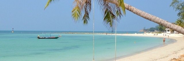 Alex Hepworth banner