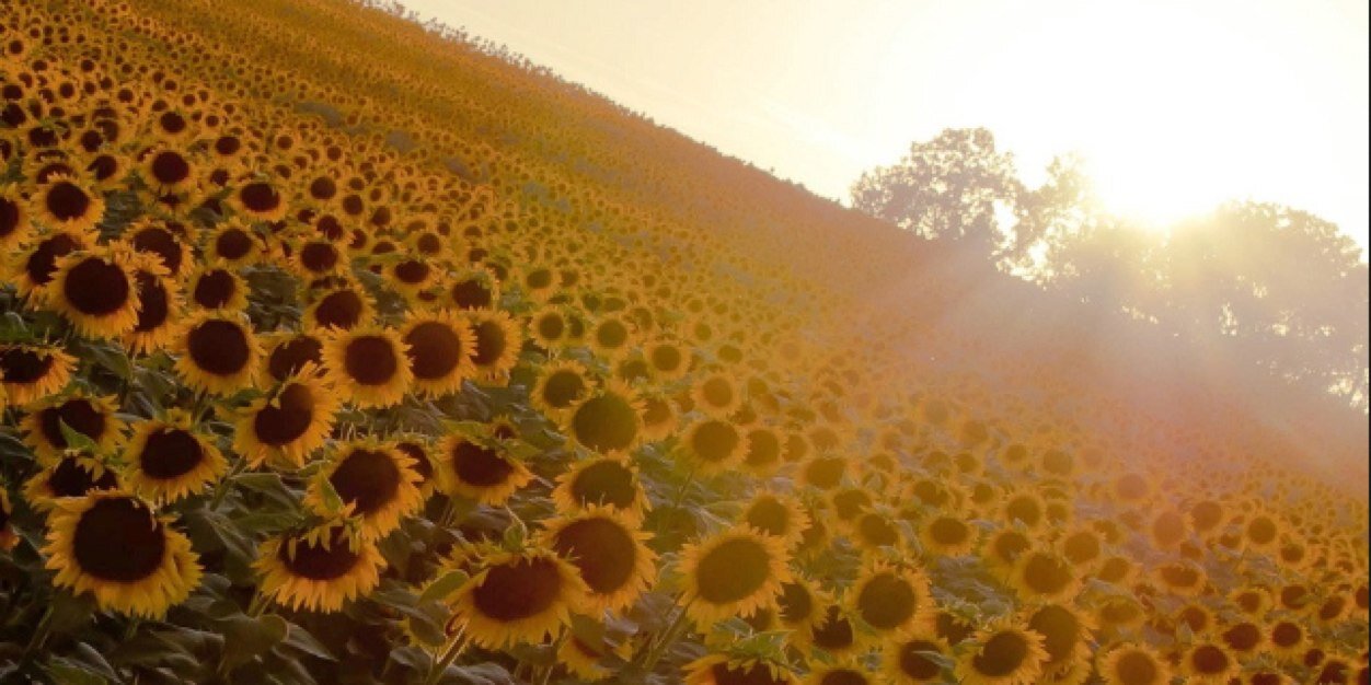 j_Wrote's profile banner image