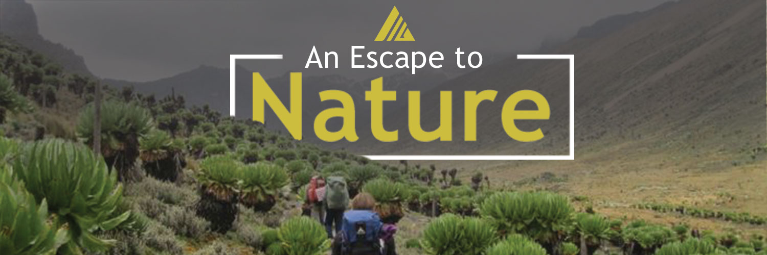 nmriverlodge's profile banner image