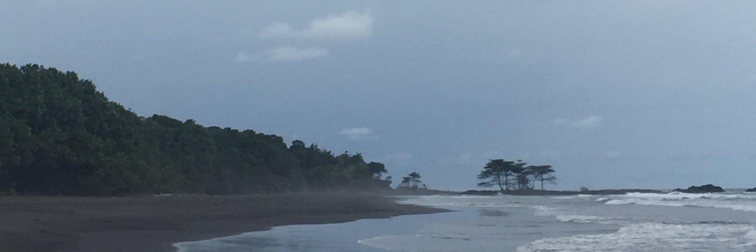 Violeta Barcelona banner