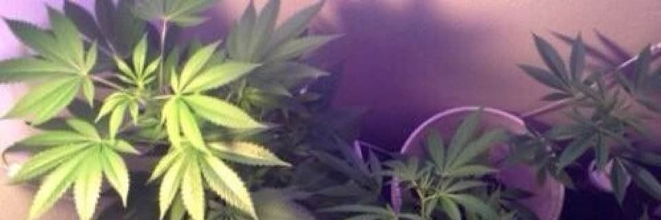 excusenjh's profile banner image