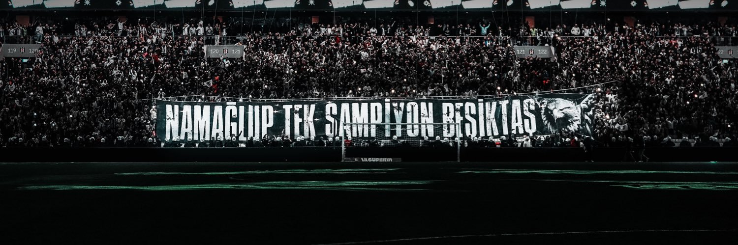 sariogluu1's profile banner image