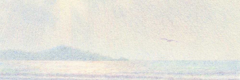 nini banner