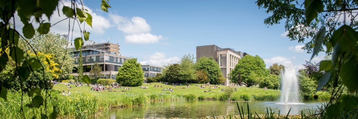 Stephen Brammer banner