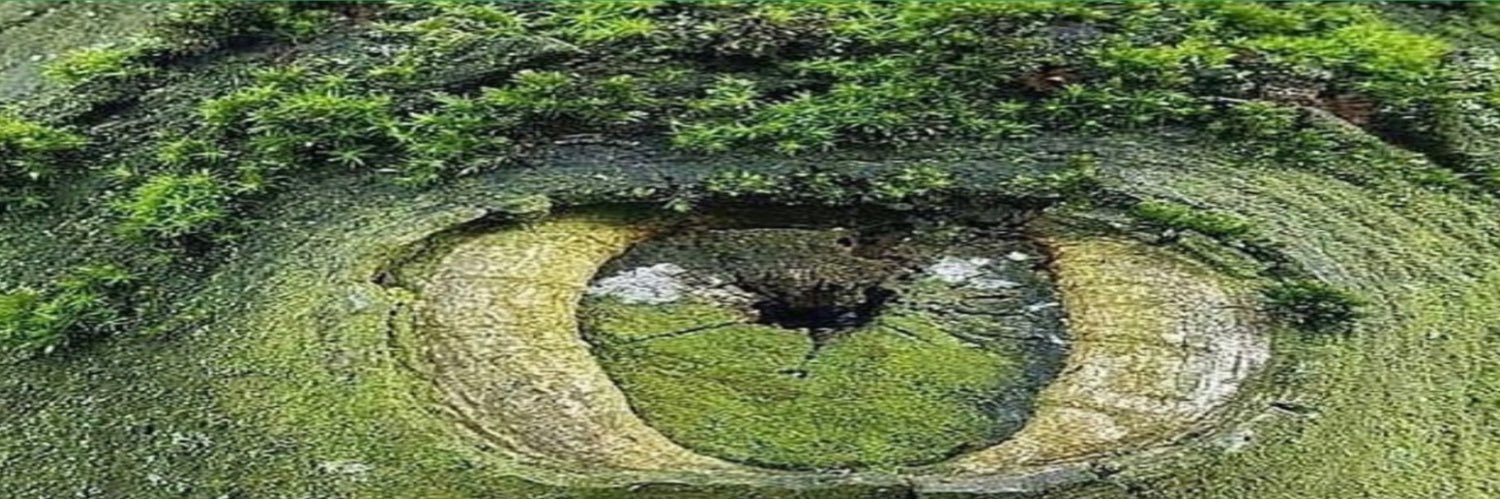 LujubioUno's profile banner image