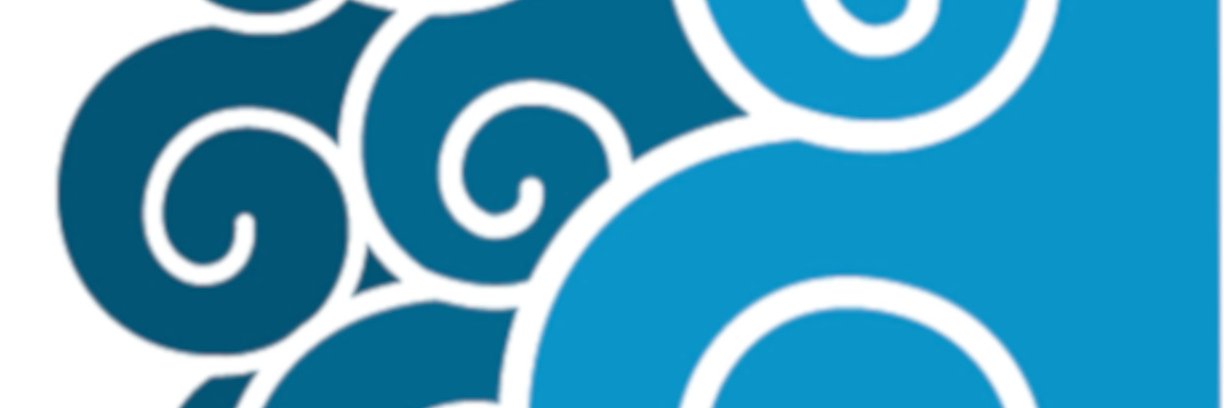 Daniel Depellegrin banner