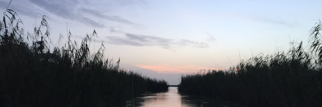 DougBrunePBS's profile banner image