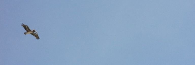 BarbaraCluetM's profile banner image