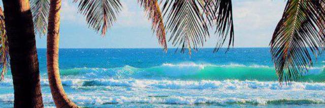 Marta Connors banner