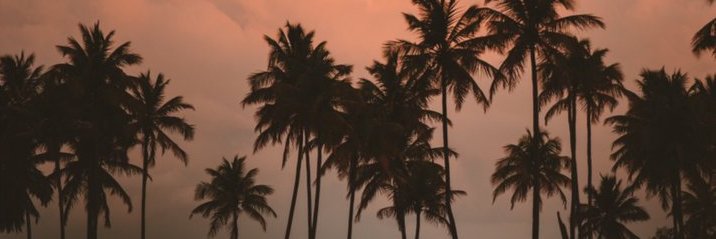 Shib2102's profile banner image