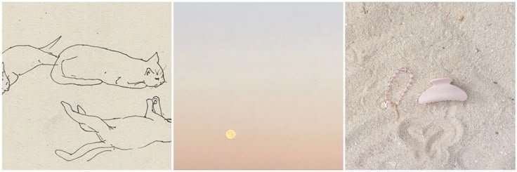 cmhapter's profile banner image