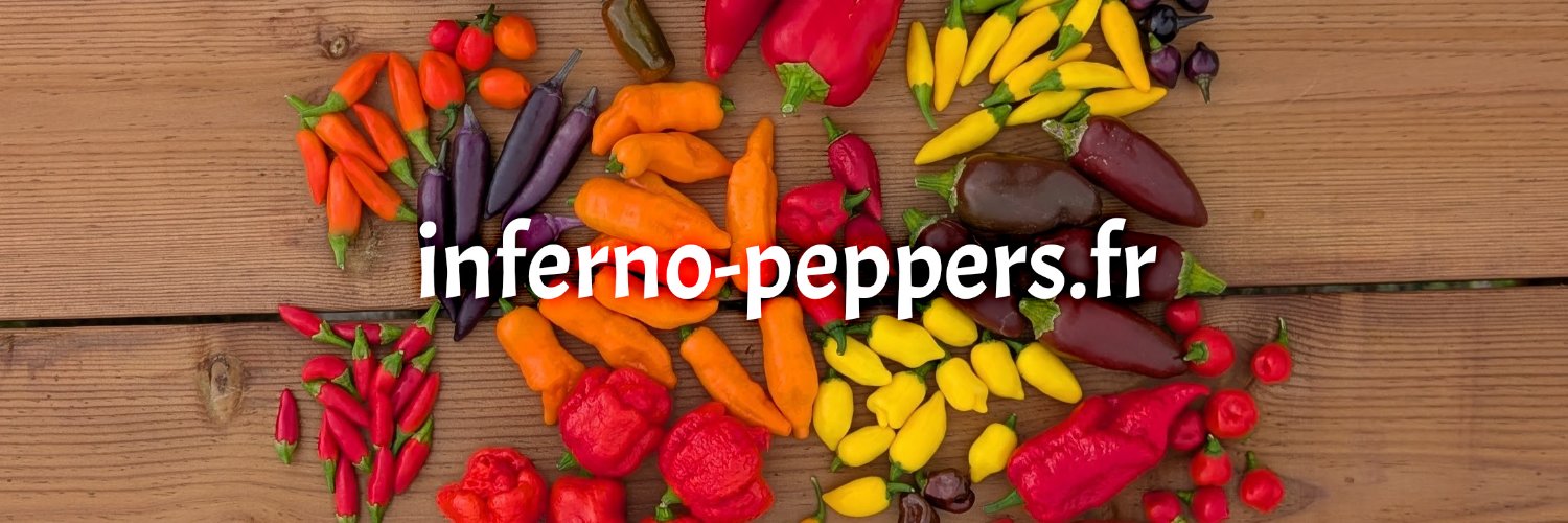 Stéphane Bour banner