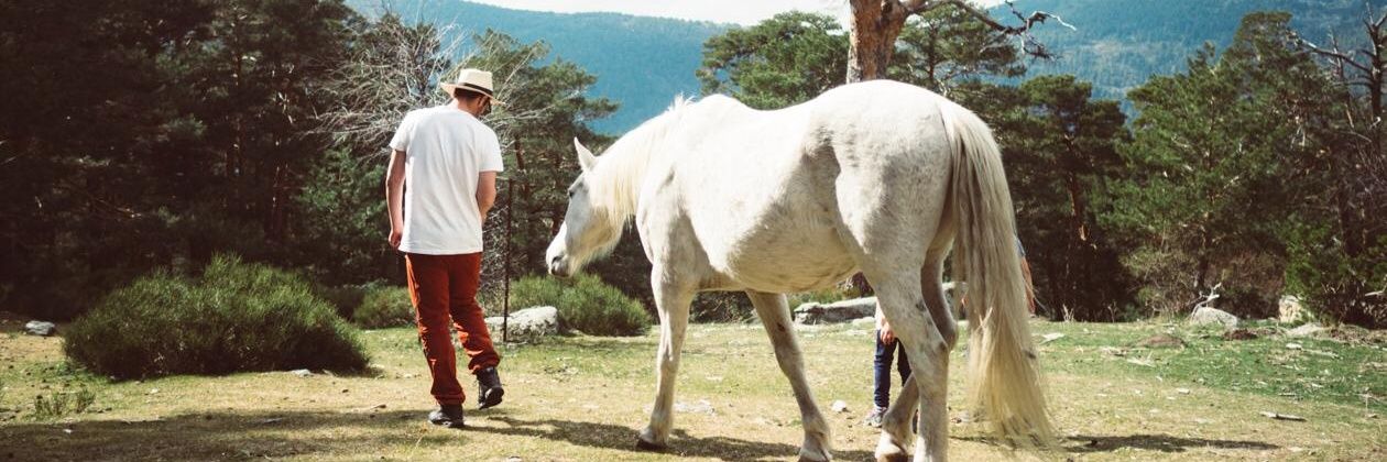 David de la Bodega banner