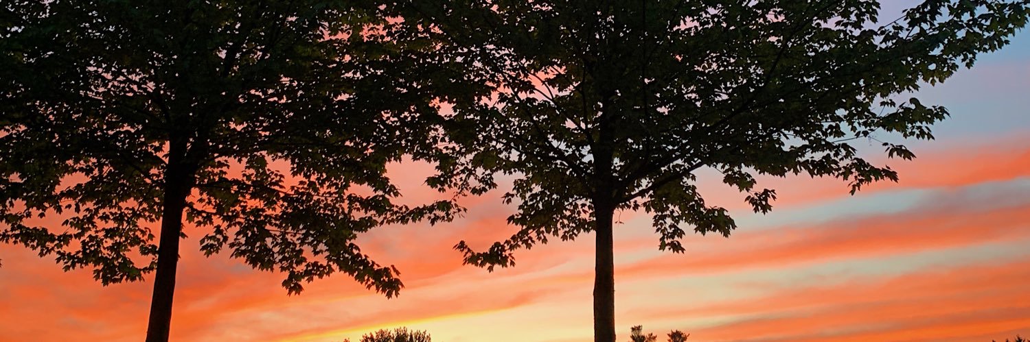 ambermorgan1997's profile banner image