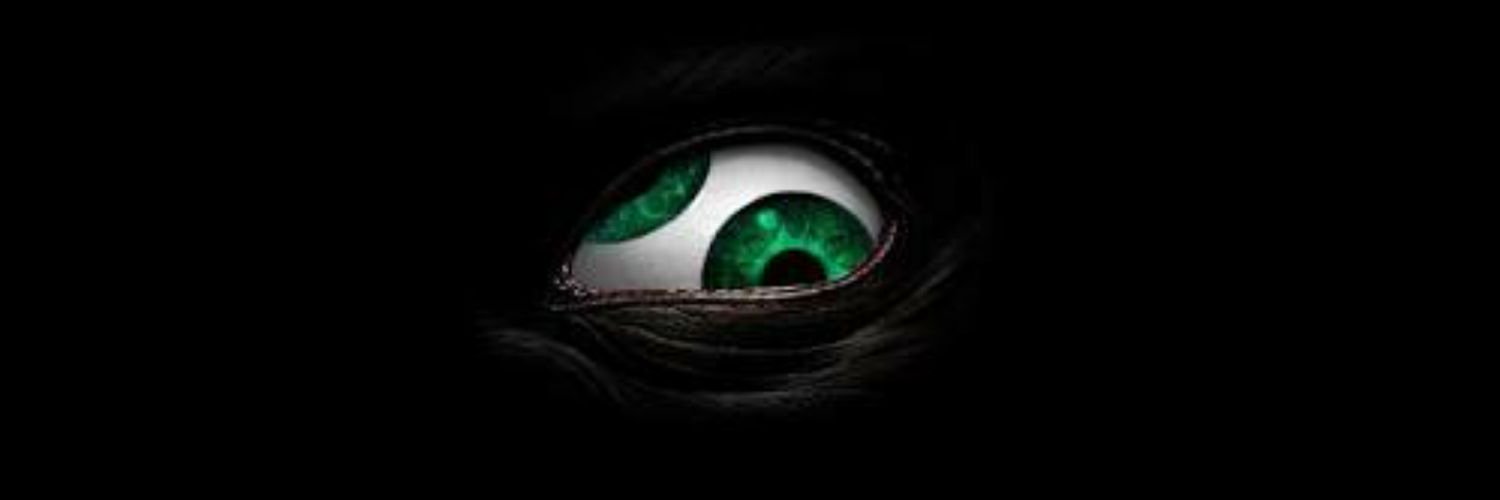 llmaynardll's profile banner image