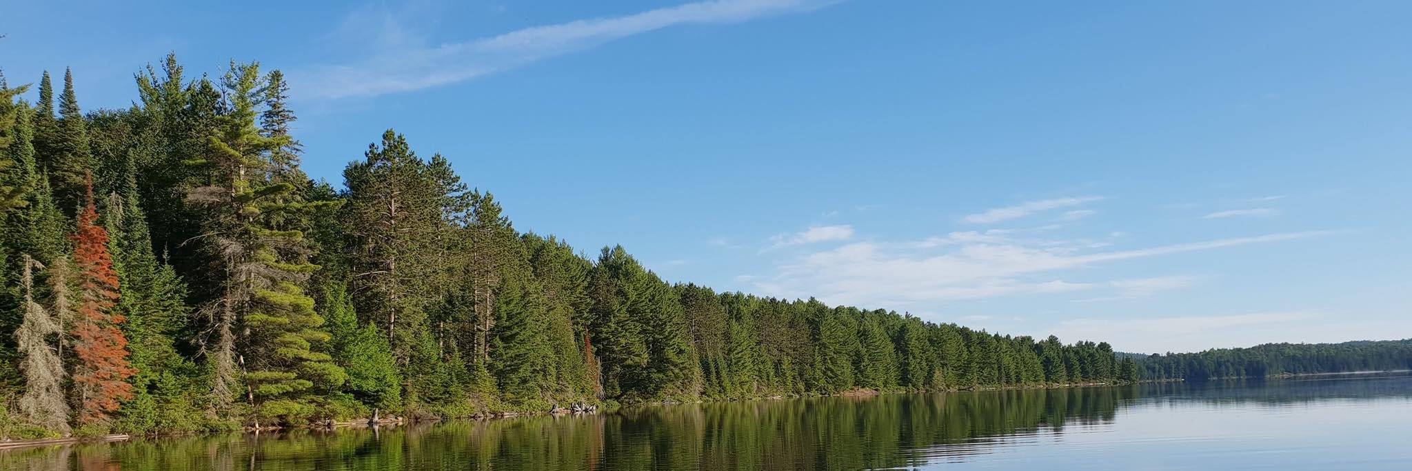 Hans Frederiks banner