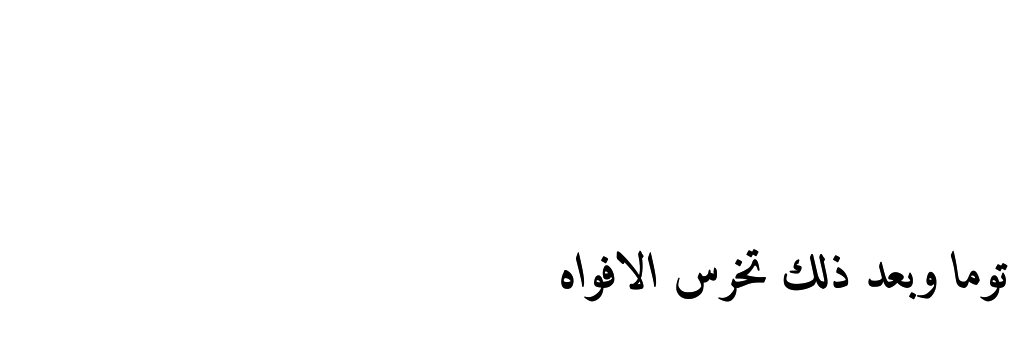 toma_1a's profile banner image