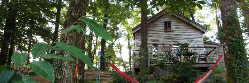 covertcabin's profile banner image