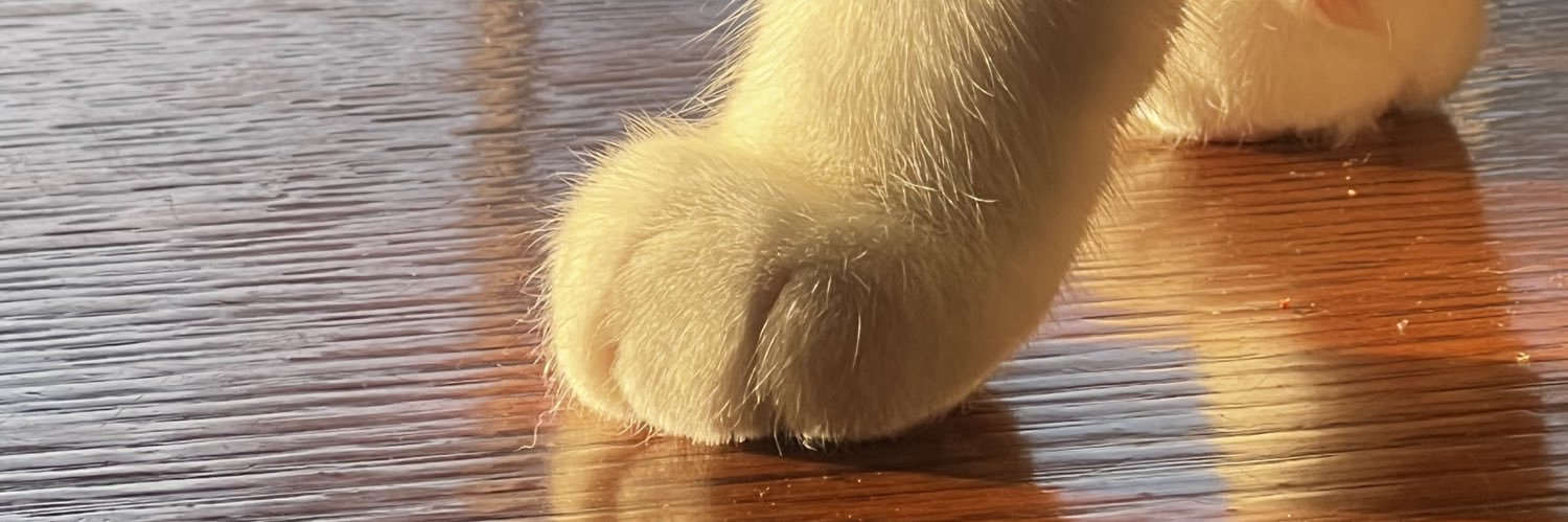 noahenich's profile banner image