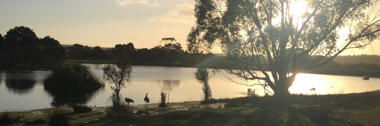 LisaConnoley's profile banner image