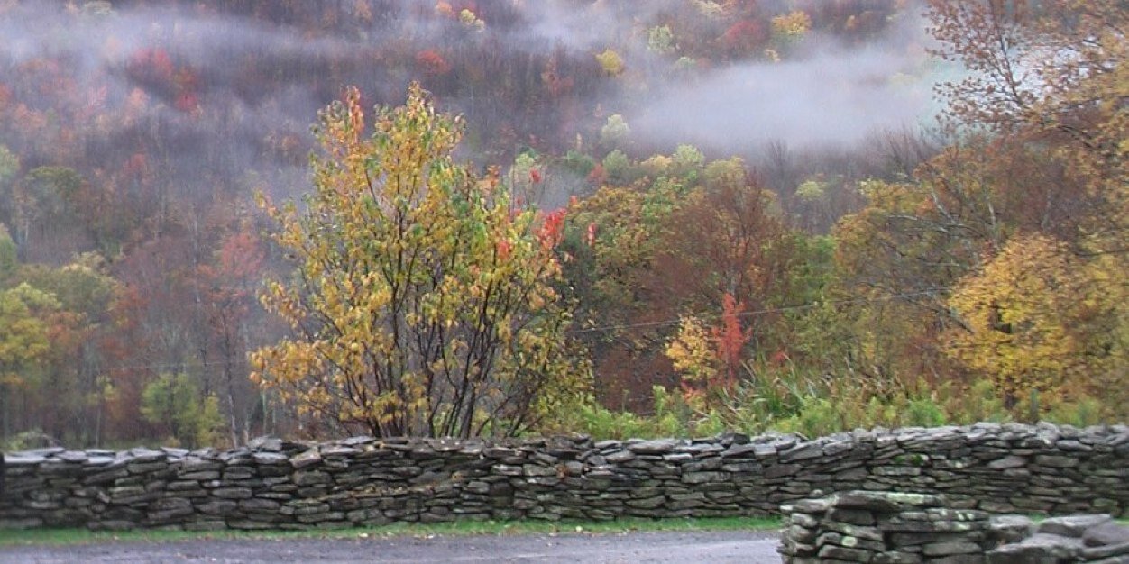StoneTavernFarm's profile banner image