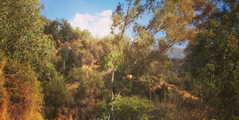 Cleterey's profile banner image