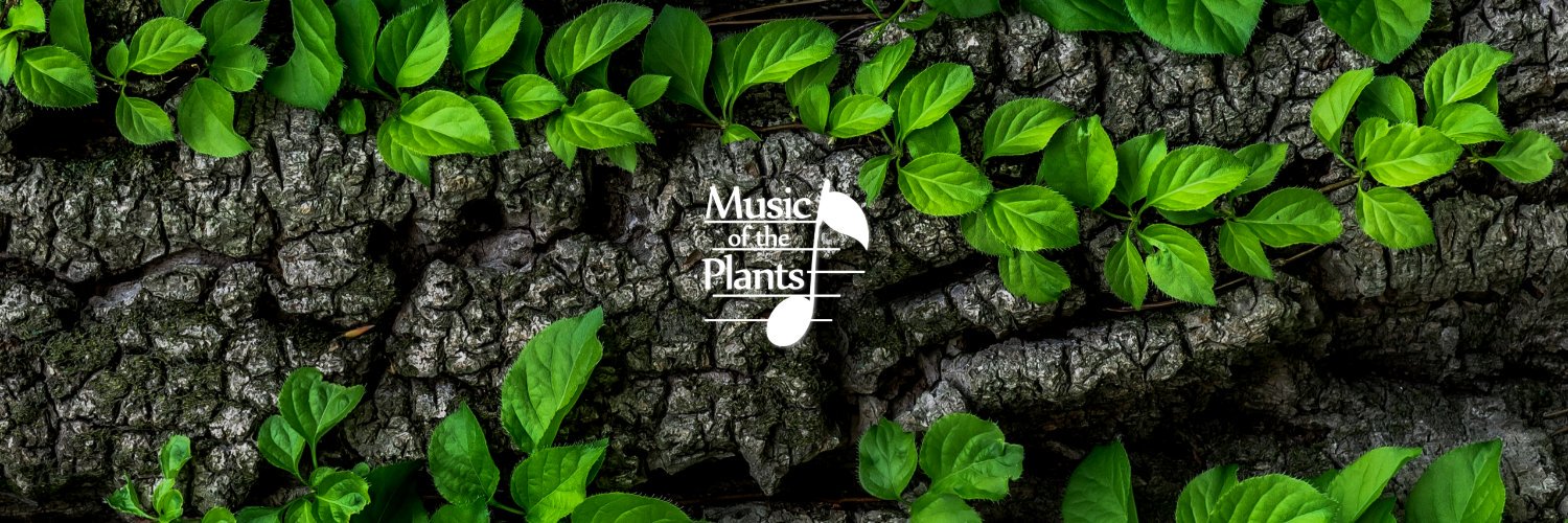 singingplants's profile banner image