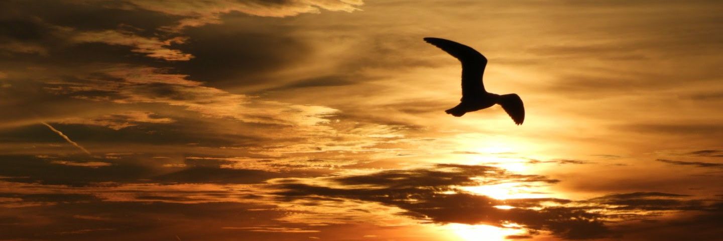 thebillyoung's profile banner image