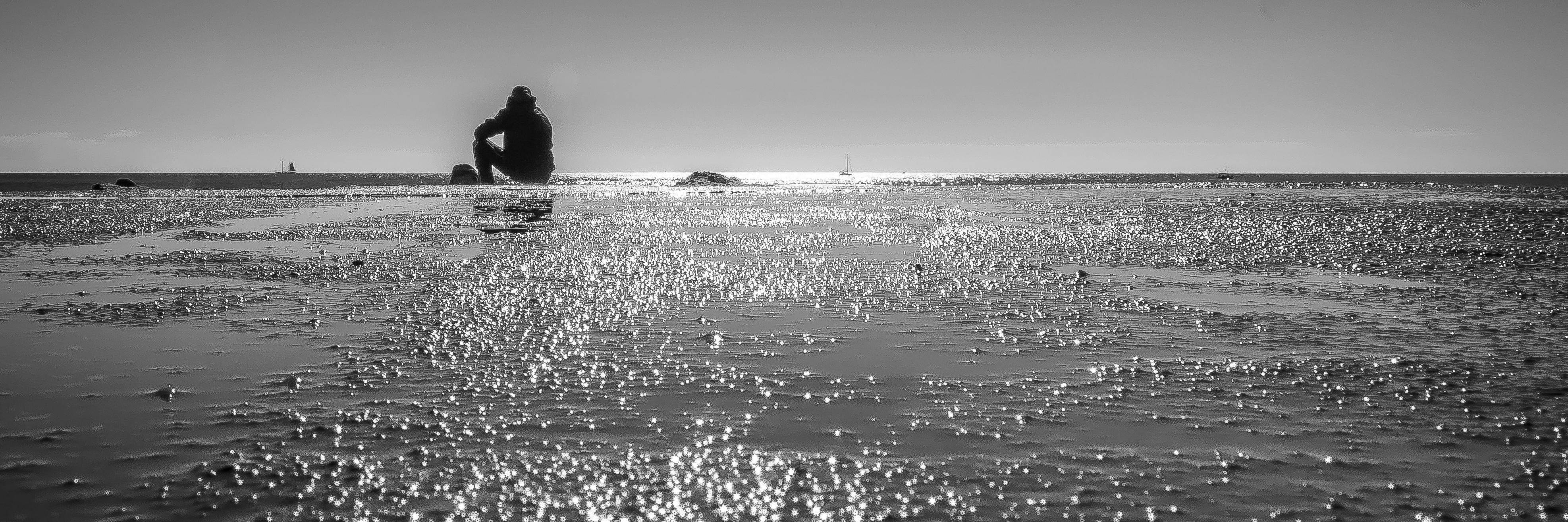 Miquel Lleixà banner