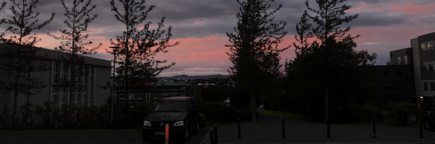 NWTS_junior's profile banner image