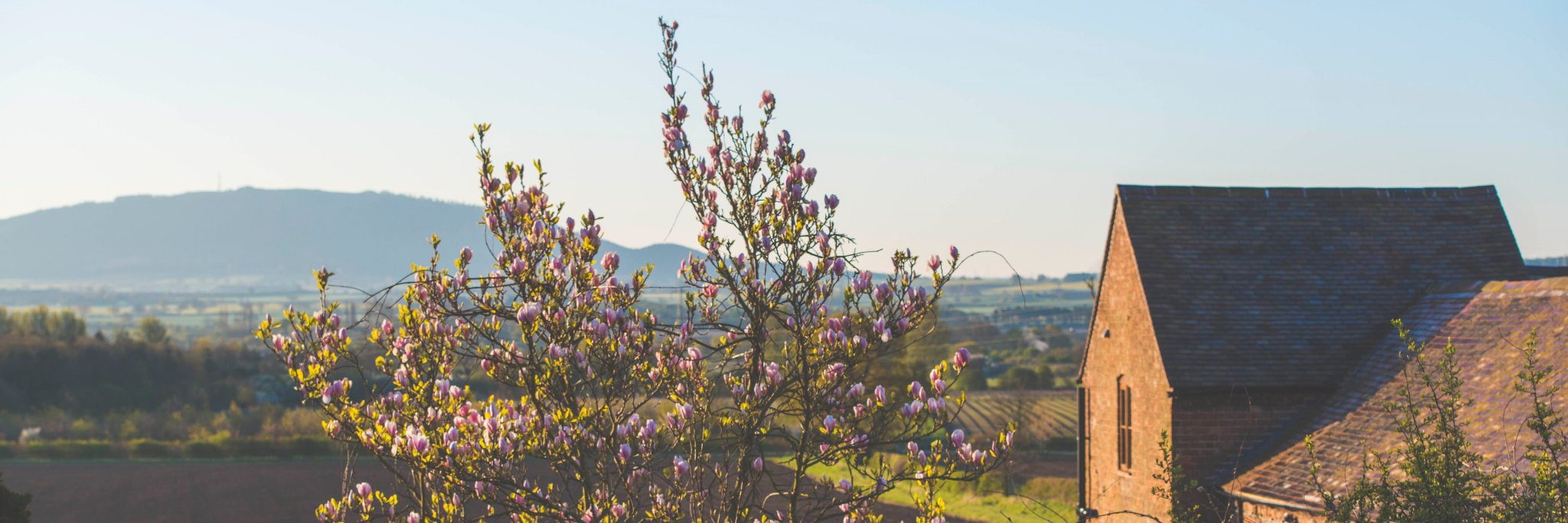 TheHaughmond's profile banner image