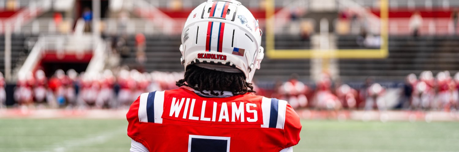 Hollywood Williams banner